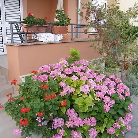 Appartement 14970e *